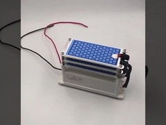 AC 220V 15g/h Placa de ozono cerámica para la máquina de desinfección de ozono