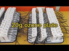 20g 8pcs Ozone Plate Gap Discharge Generador de ozono cerámico montado